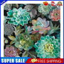 #A Colorful Flowers Oil Paint By Numbers Kit DIY Acrylic Painting Wall Art Pictu