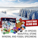 Fossil Stone Set Christmas Advent Calendar Gift Early Education Mineral Boxs