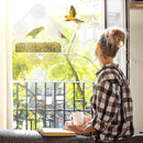House Clear Window Viewing Bird Feeder Triangular Suction Cup Bird Feeder