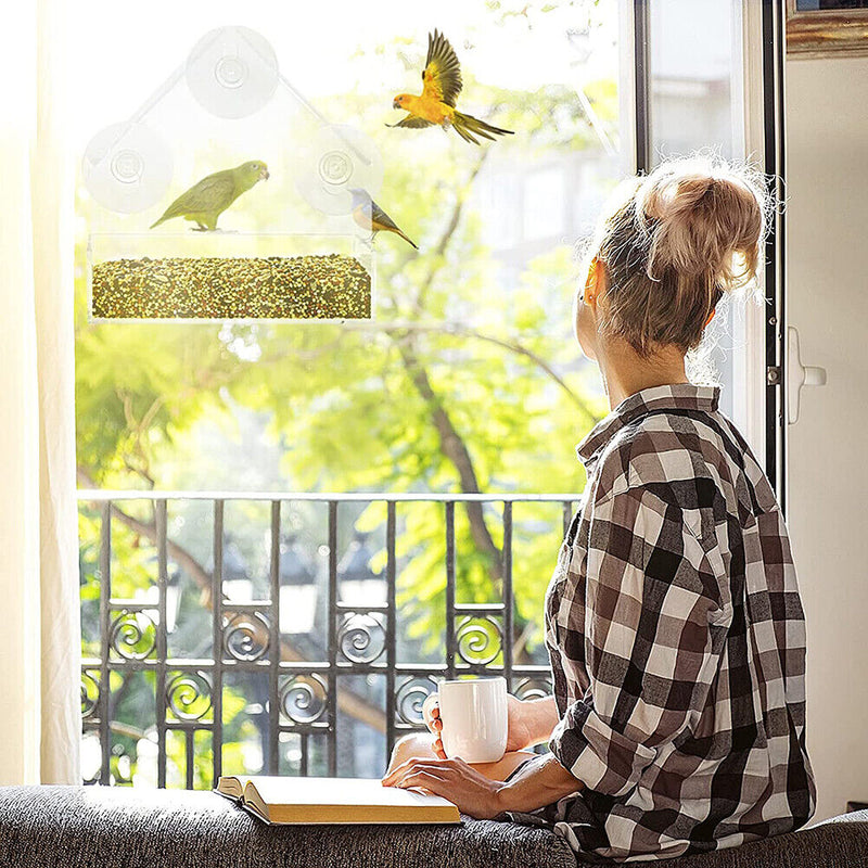House Clear Window Viewing Bird Feeder Triangular Suction Cup Bird Feeder