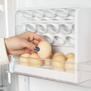 Refrigerator Creative Food Organizer Egg Rack Egg Storage Box Storage Trays
