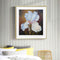 Flower Oil Paint By Numbers DIY Handpainted on Canvas Wall Art Picture Craft