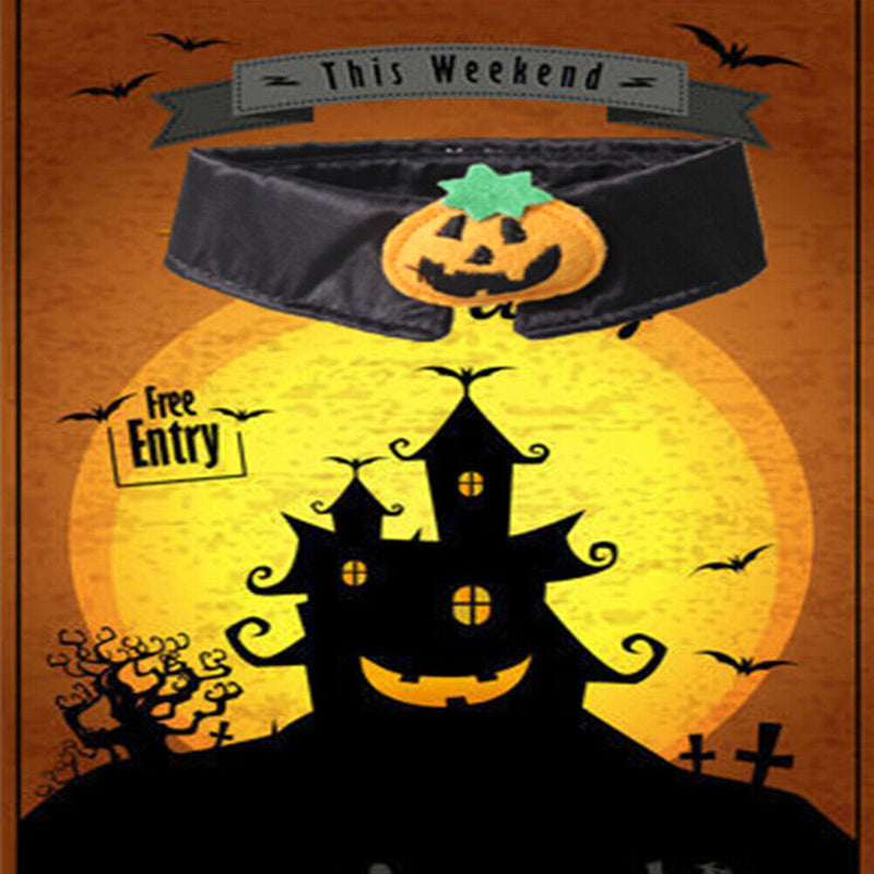 Cat Pumpkin Pattern Collar kitten Bow Tie Pet Puppy Elastic Necktie Pet Supplies