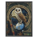 40x50cm Cross Stitch Full Embroidery Kit Owl Animal Home Art Decoration Stamped