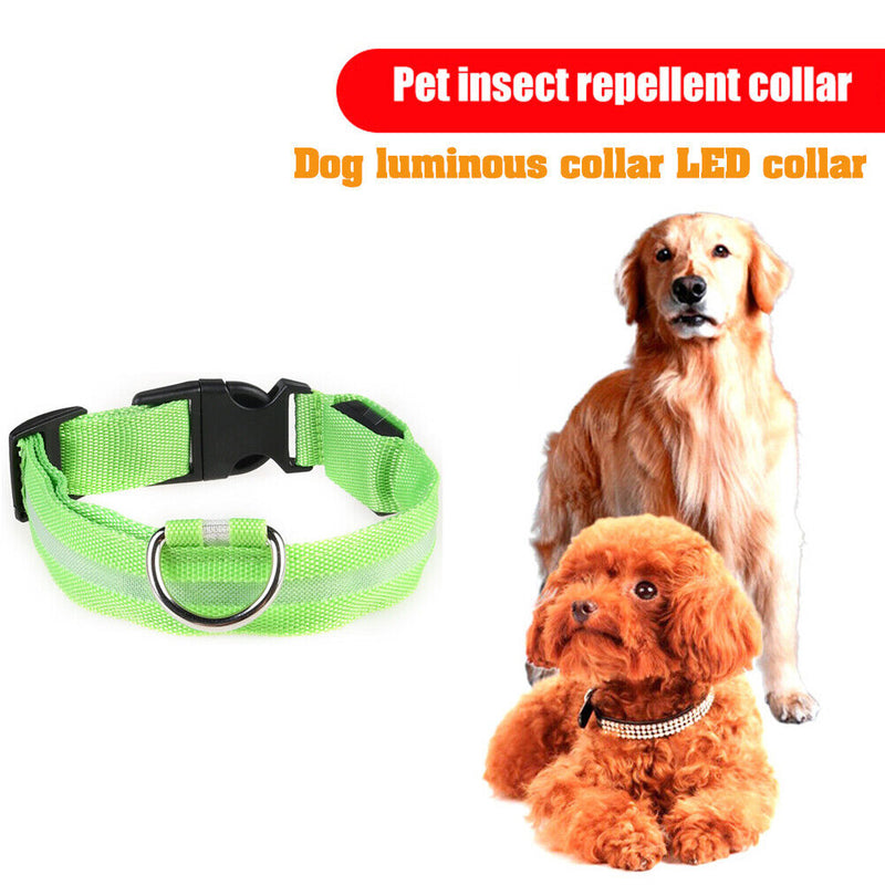 LED Dog Luminous Necklace Outdoor Walking Pet Night Safety Collar (Green M)