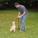 LED Pet Anti Barking Ultrasonic Electronic Dog Repeller Chaser Deterrent Device