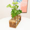 Wooden Frame Glass Vase Flower Arrangement Plant Flower Pot Hydroponic Vase