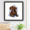 #A Waterside Cat Oil Paint By Numbers DIY Handpainted on Canvas Picture Unfram