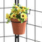 Window Sill Iron Hanging Flower Pot Rack Guardrail Balcony Planter Pot Stand