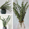 10X Air-dried Flower Eucalyptus Stems Branches Leaves DIY Bouquet Home X8G3 Y8O1