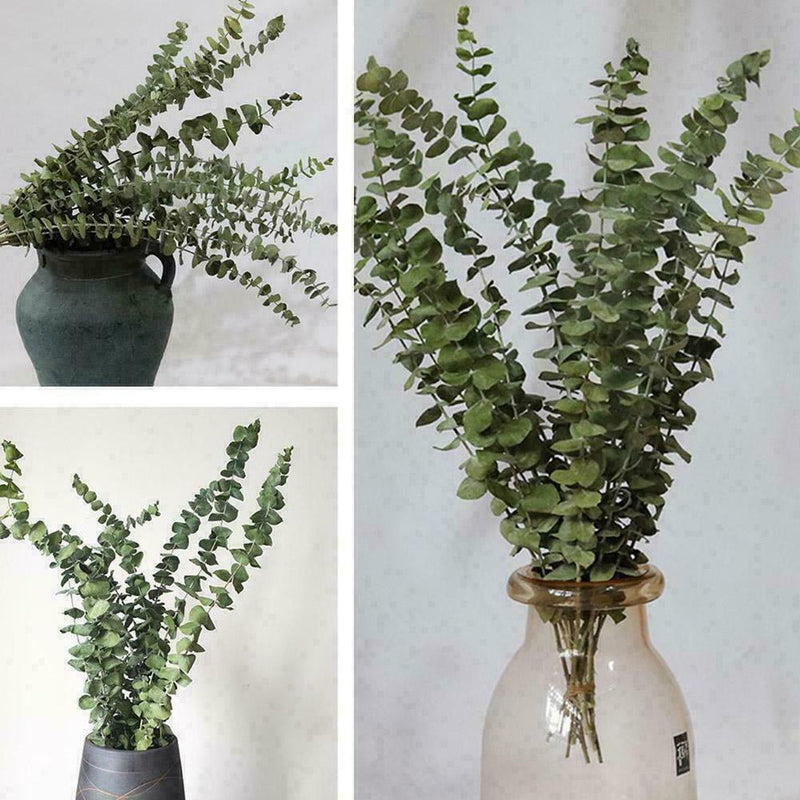 10X Air-dried Flower Eucalyptus Stems Branches Leaves DIY Bouquet Home X8G3 Y8O1