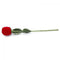 Wedding Valentine's Flower Red Rose Display Ring/Earrings/Pendant Jewelry Box