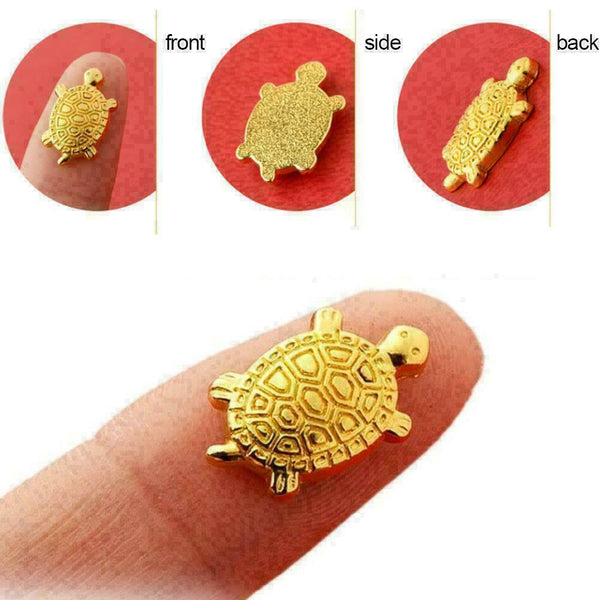 Money Turtle Small Golden Tortoise Defensive Blessing L9Y6 Fortune R3K9 K5M5