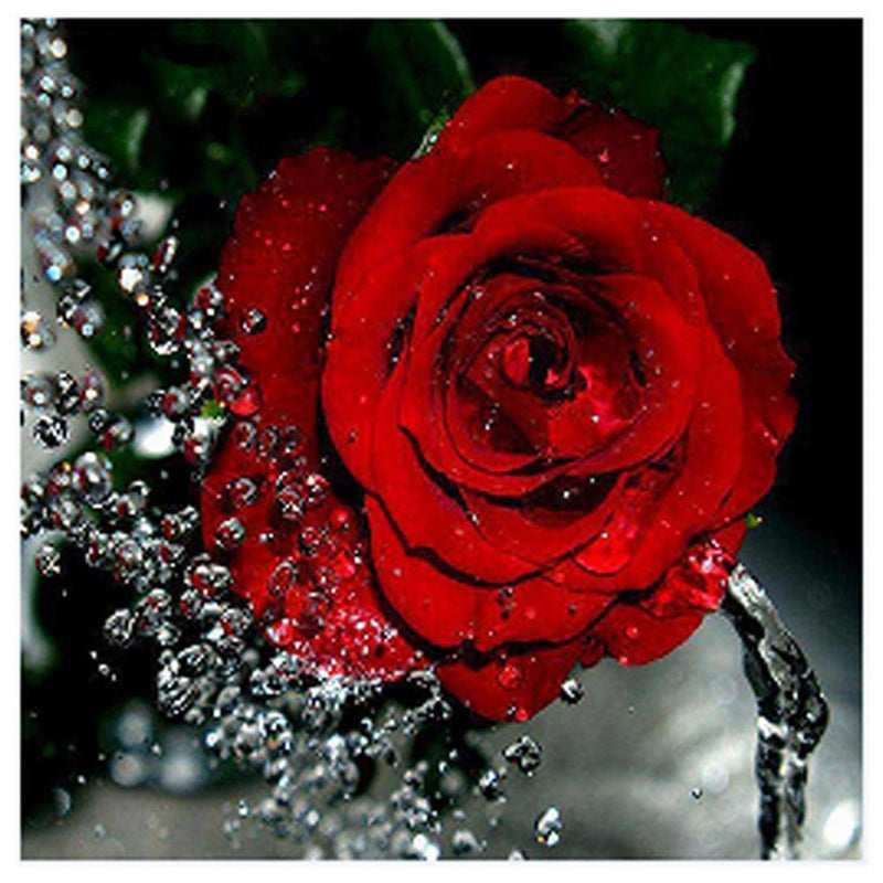 30x30cm 5D Diamond Painting DIY Rose Red Painting Cross Stitch Needlework