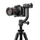 Aluminum Gimbal Tripod Head for Telephoto Lens Photography Bird Monopod Head