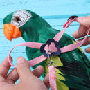 Parrot Leash Adjustable Harness Bird Anti Fly Outdoor Training Rope (Pink) Newly