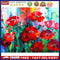 DIY Handmade Digital Picture Flowers Frameless Oil Painting By Number Handicraft