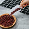 1*Multifunctional Frosted Plastic Ice Measuring Scoop Tools W0E4 C4L1 Y4E8