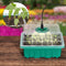 5pcs Seed Starter Trays with Grow Light Garden Plant Seedling Box (Green) Newly