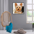 5D Diamond Painting Kit Yorkshire Terrier Full Square Drill DIY Art Craft Mosaic