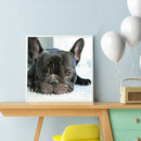 5D Diamond Painting Animal Full Square Rhinestone DIY Wall Home Decoration Gi