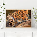 Leopard Oil Paint By Numbers Kits Canvas DIY Craft Coloring Drawing Home Decor