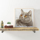 Partial Embroidery Stamped Cat DIY Cross Stitch Kits 11CT Needlework Sets Gift