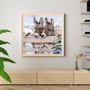 Oil Paint by Numbers Little Donkey Canvas Artwork Living Room Picture Decoration