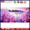 Frameless Oil Paint By Numbers DIY Sea Flower Forest Picture Craft Kit for Ho