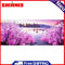Seaside Plants 5D DIY Full Round Drill Diamond Painting Embroidery Needlework