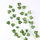 Plant Climbing Wall Fixture Rattan Vine Traction Holder Cable Finishing