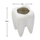 Cute Tooth Shaped Ceramic Succulent Cactus Flower Pot Furnishings` Home T2D9