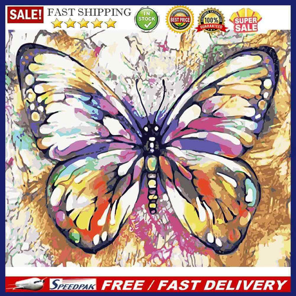DIY Pictures By Numbers Butterfly Kits Acrylic Paints Coloring Oil Painting