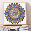 Partial Drill 5D Special Shape Diamond Painting Abstract Mandala Kit (X054)