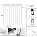 200 LED Fairy String Lights Garland Curtain Lamp with Remote (White) Newly