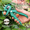 Fruit Tree Secateurs Pruning Shears Grafting Branch Cutter Tools Kit (A) Newly