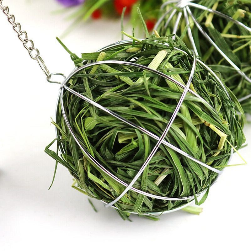 Hang Feeding Guinea Pig Rabbit Grass Ball Rack Round Stainless Steel Straw Ball