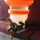 Bee Drinking Fountain Bee Queen Bee Water feeder Equipment Feeding Keeping