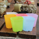 Succulent Garden Supply Mini Basin Planter Tool Flower Pot Plant  Trays