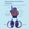 #A 2pcs Multifunctional LED Smart Watch Compass Walkie Talkies Parent-child Toys
