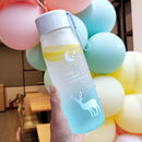 500ml Sports Water Bottle Gradient Frosted Portable Drinking Cup (Blue) Newly