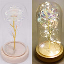 Bottle Terrarium Plants Wooden base Glass cloche Flower Storage box Dust Cover