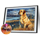 5D DIY diamond painting full circle diamond waiting dog