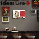 Beware of Cat Retro Metal Plate Tin Sign Plaque Poster for Bar Club Cafe