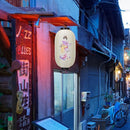 25cm Lantern Cloth Japanese Style Printing Fabric for Bar Pub Decor (D) Newly