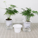 Flower Pot Self-watering Flowerpot Automatic Water Absorption Hydroponic