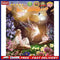 DIY Flying Fairy Oil Paint by Numbers Hand Painted Drawing Kit Coloring Picture