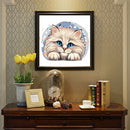 Persian Cat Animal Series Diamond Painting Kits Full Round Drill 30x30cm (A22