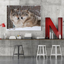 Full Embroidery Snow Wolf 3-Beach 11CT Printed Cross Stitch Cotton DIY Kit