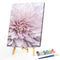 Canvas Paint By Numbers Flowers Oil Hand Painted Drawing Kit Home Decoration